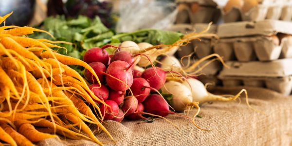 Fresh produce from Elm Hollow Apartments on display with bunches of yellow carrots, radishes, and eggs in cartons, all set on a charming burlap-covered table.