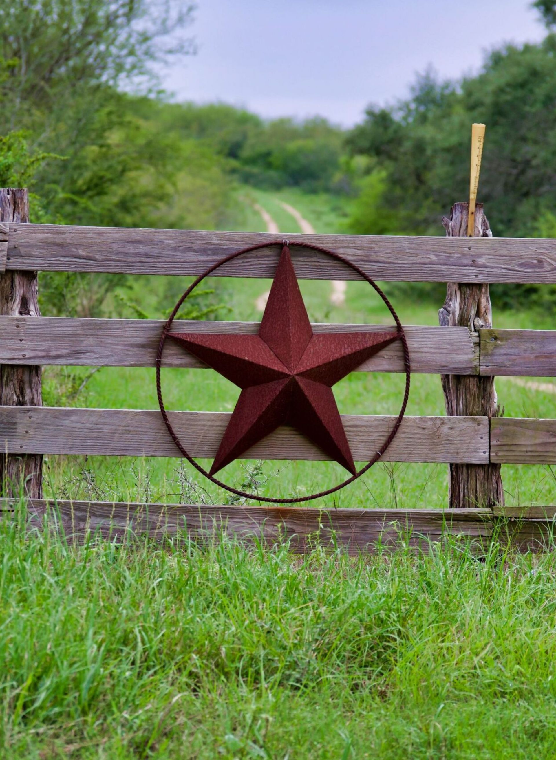 A wooden fence with a red star at its center marks the entrance to Elm Hollow Apartments, surrounded by lush greenery and a path that meanders into the distance.