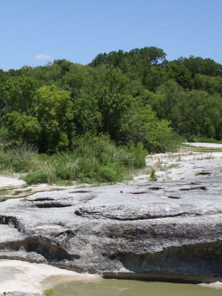 Nestled around a rocky landscape, Elm Hollow Apartments boast lush green trees and plants, with serene water pools glistening under a clear blue sky.